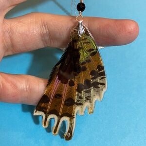 Real Butterfly Wing Necklace Madagascar Sunset Moth